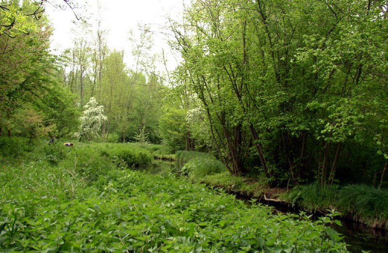 2009 Marais de la Voise 11